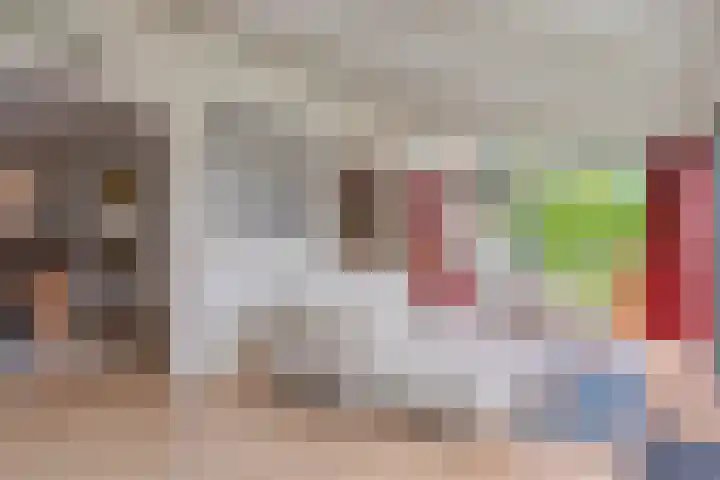 Linde 14 Mierlo thumbnail 22