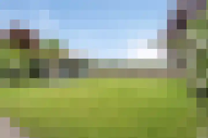 Linde 14 Mierlo thumbnail 23