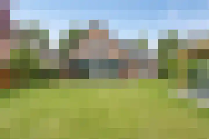 Linde 14 Mierlo thumbnail 24