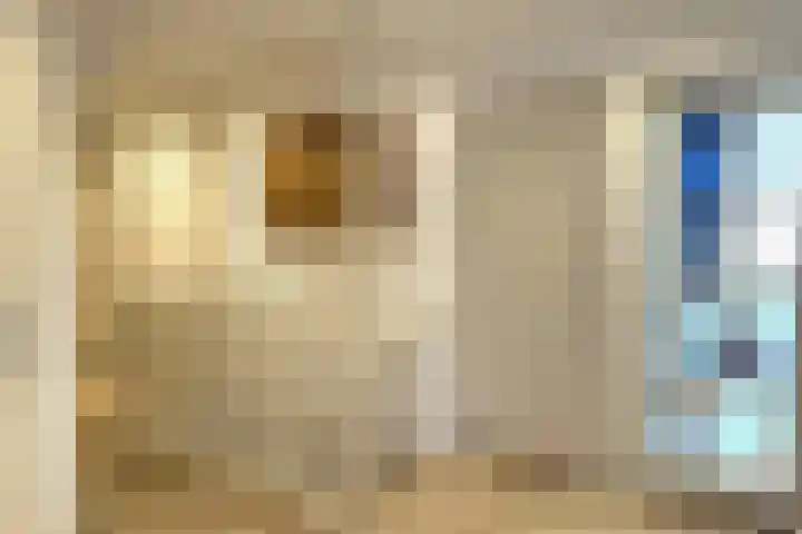 Linde 14 Mierlo thumbnail 26
