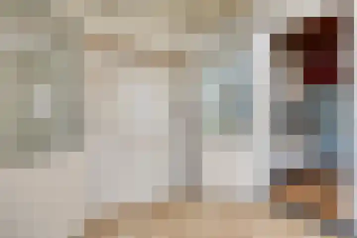 Linde 14 Mierlo thumbnail 28
