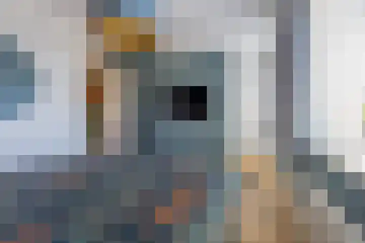 Linde 14 Mierlo thumbnail 30
