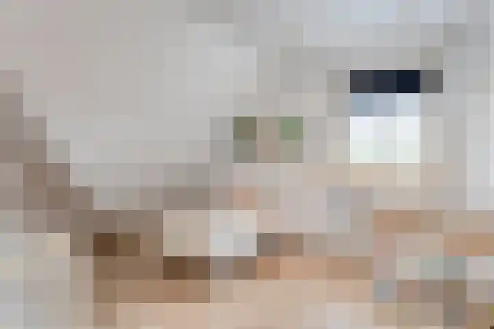 Linde 14 Mierlo thumbnail 32