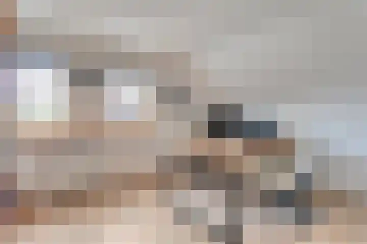 Linde 14 Mierlo thumbnail 33