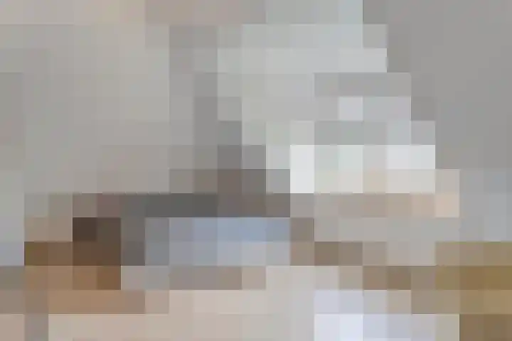 Linde 14 Mierlo thumbnail 34