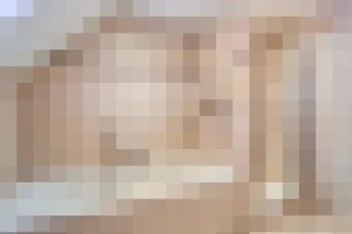 Linde 14 Mierlo thumbnail 35