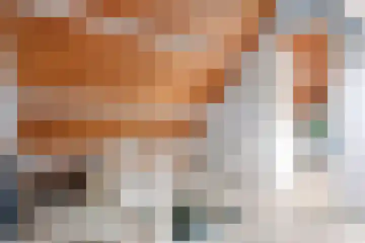 Linde 14 Mierlo thumbnail 38
