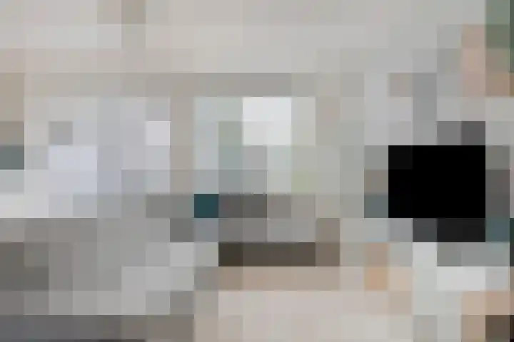 Linde 14 Mierlo thumbnail 4