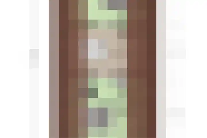 Linde 14 Mierlo thumbnail 41