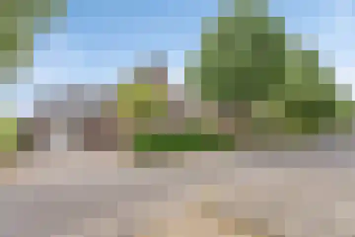 Linde 14 Mierlo thumbnail 48
