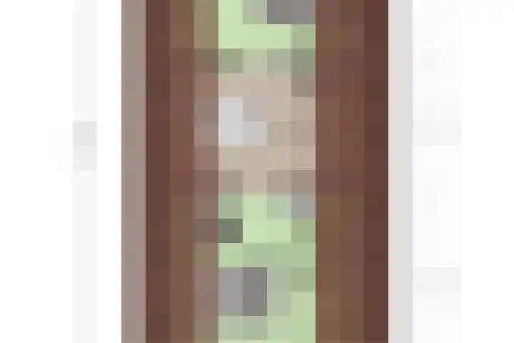 Linde 14 Mierlo thumbnail 53