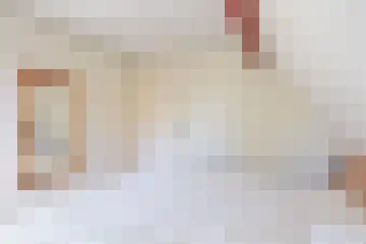 Linde 14 Mierlo thumbnail 54