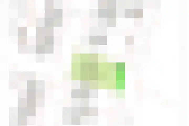 Linde 14 Mierlo thumbnail 55