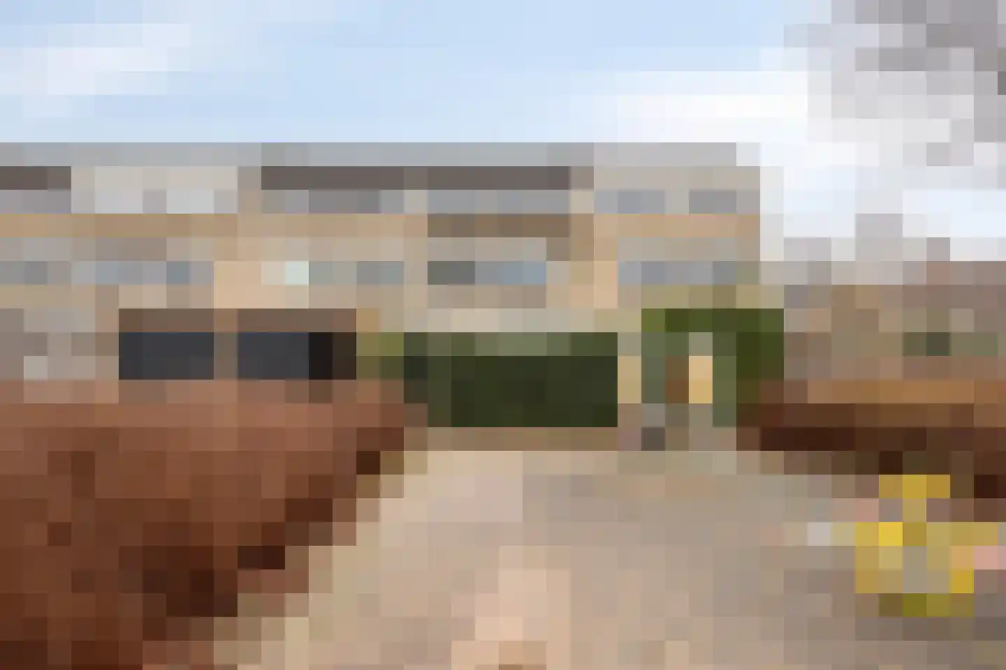 Linde 20 Krimpen aan den IJssel thumbnail 31
