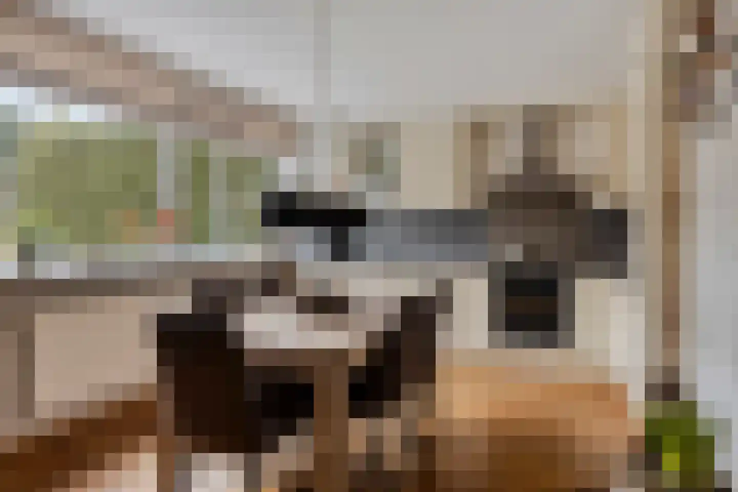Linde 20 Krimpen aan den IJssel thumbnail 6