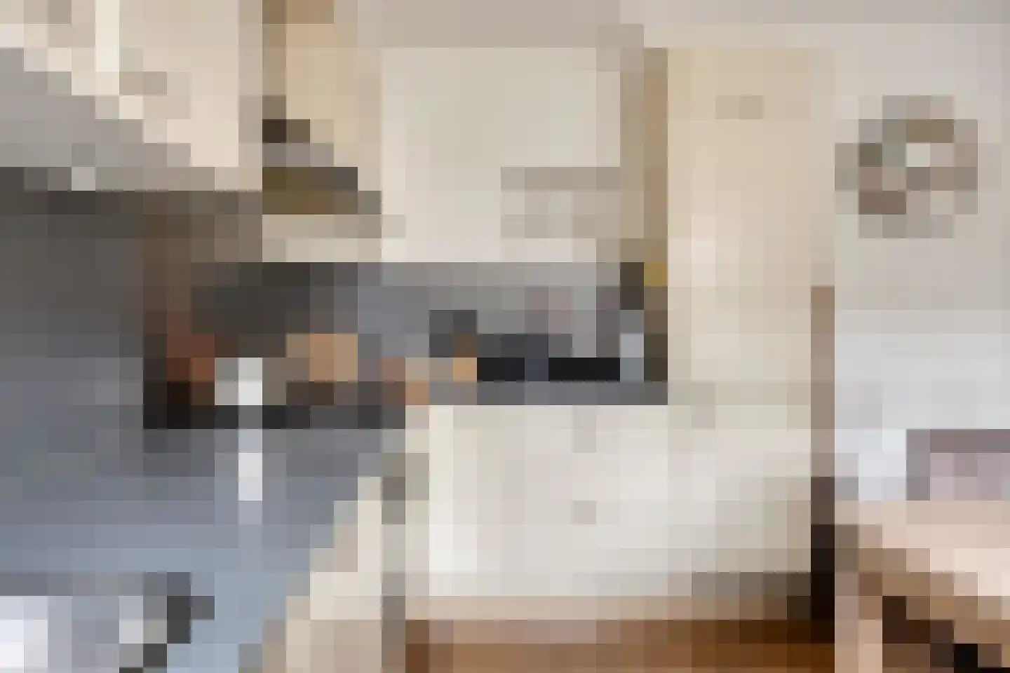 Linde 20 Krimpen aan den IJssel thumbnail 7