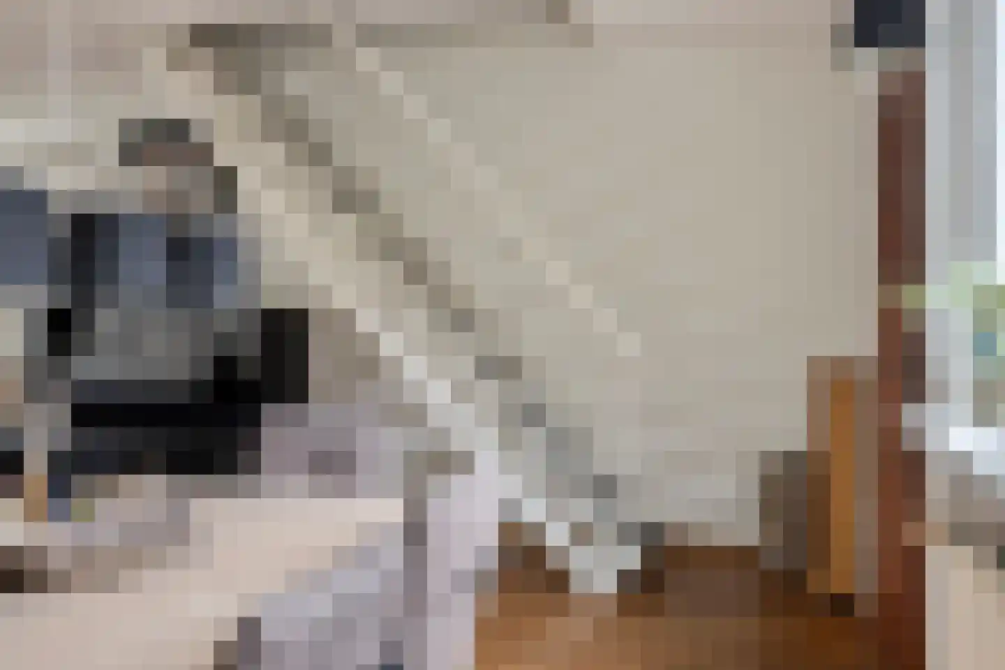 Linde 20 Krimpen aan den IJssel thumbnail 8