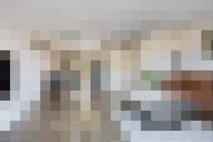 Linde 26 Leek thumbnail 10