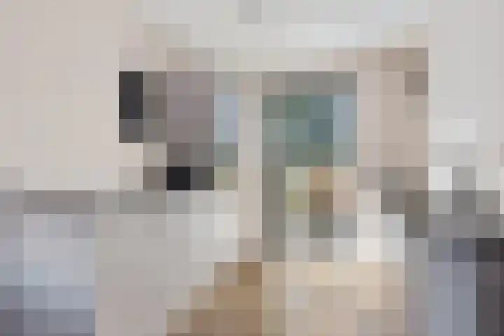 Linde 26 Leek thumbnail 12