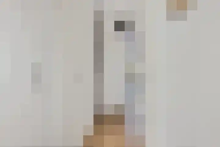 Linde 26 Leek thumbnail 14