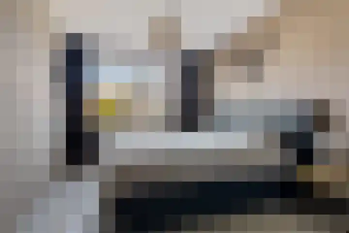 Linde 26 Leek thumbnail 15
