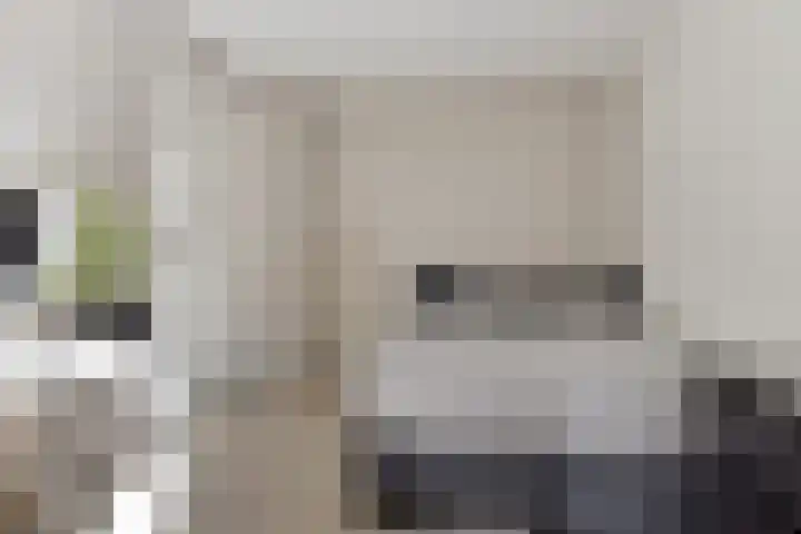 Linde 26 Leek thumbnail 18