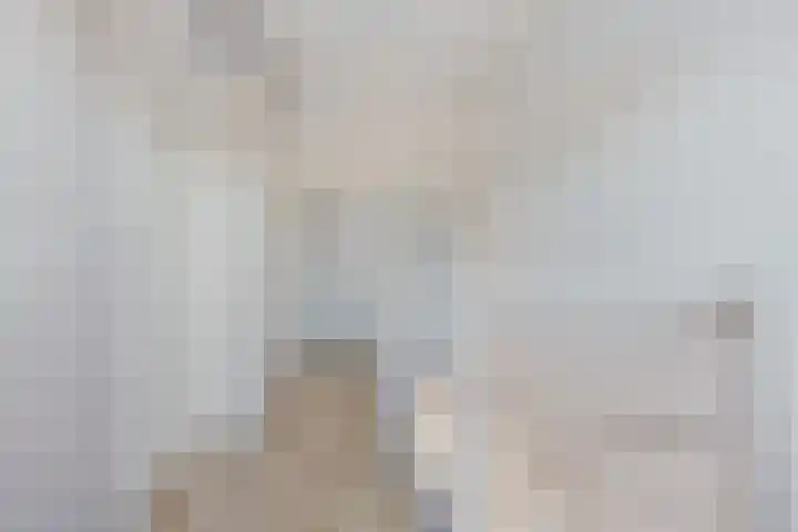 Linde 26 Leek thumbnail 24