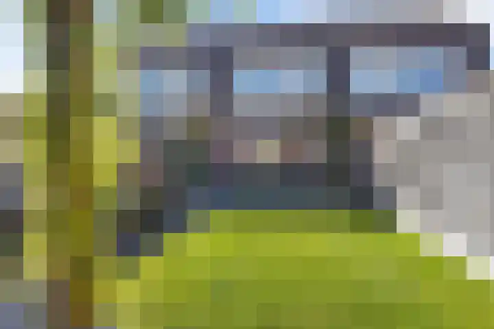 Linde 26 Leek thumbnail 29