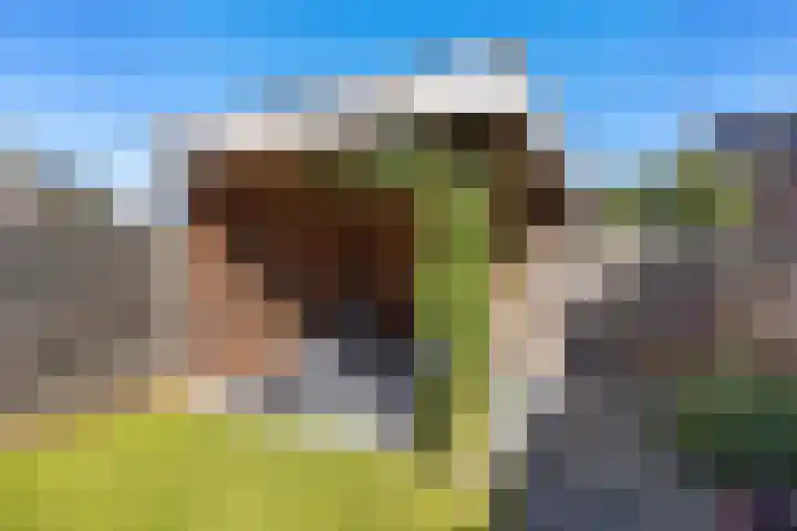 Linde 26 Leek thumbnail 30
