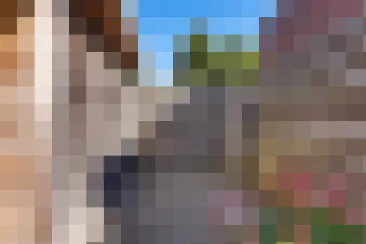Linde 26 Leek thumbnail 31