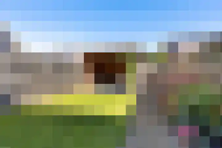 Linde 26 Leek thumbnail 32