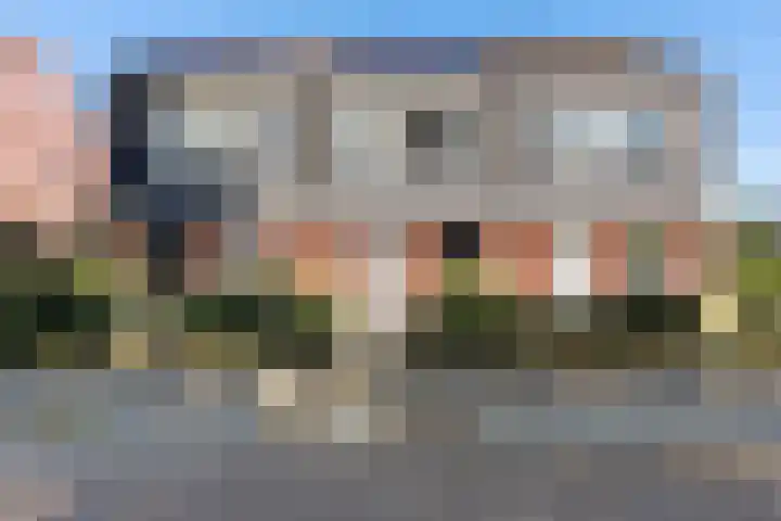 Linde 26 Leek thumbnail 36