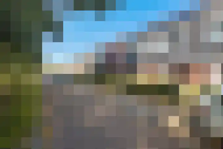 Linde 26 Leek thumbnail 37