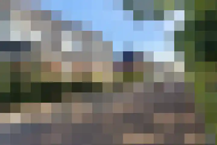 Linde 26 Leek thumbnail 38