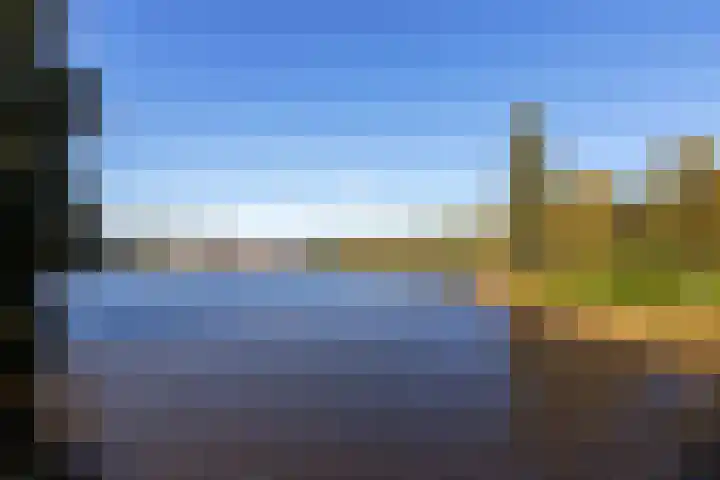Linde 26 Leek thumbnail 39