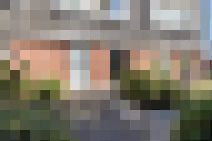 Linde 26 Leek thumbnail 6
