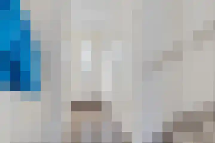 Linde 26 Leek thumbnail 7