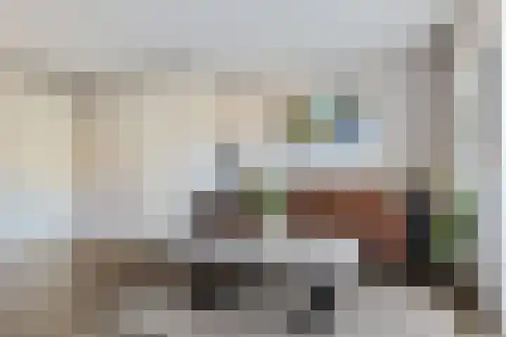 Linde 26 Leek thumbnail 9