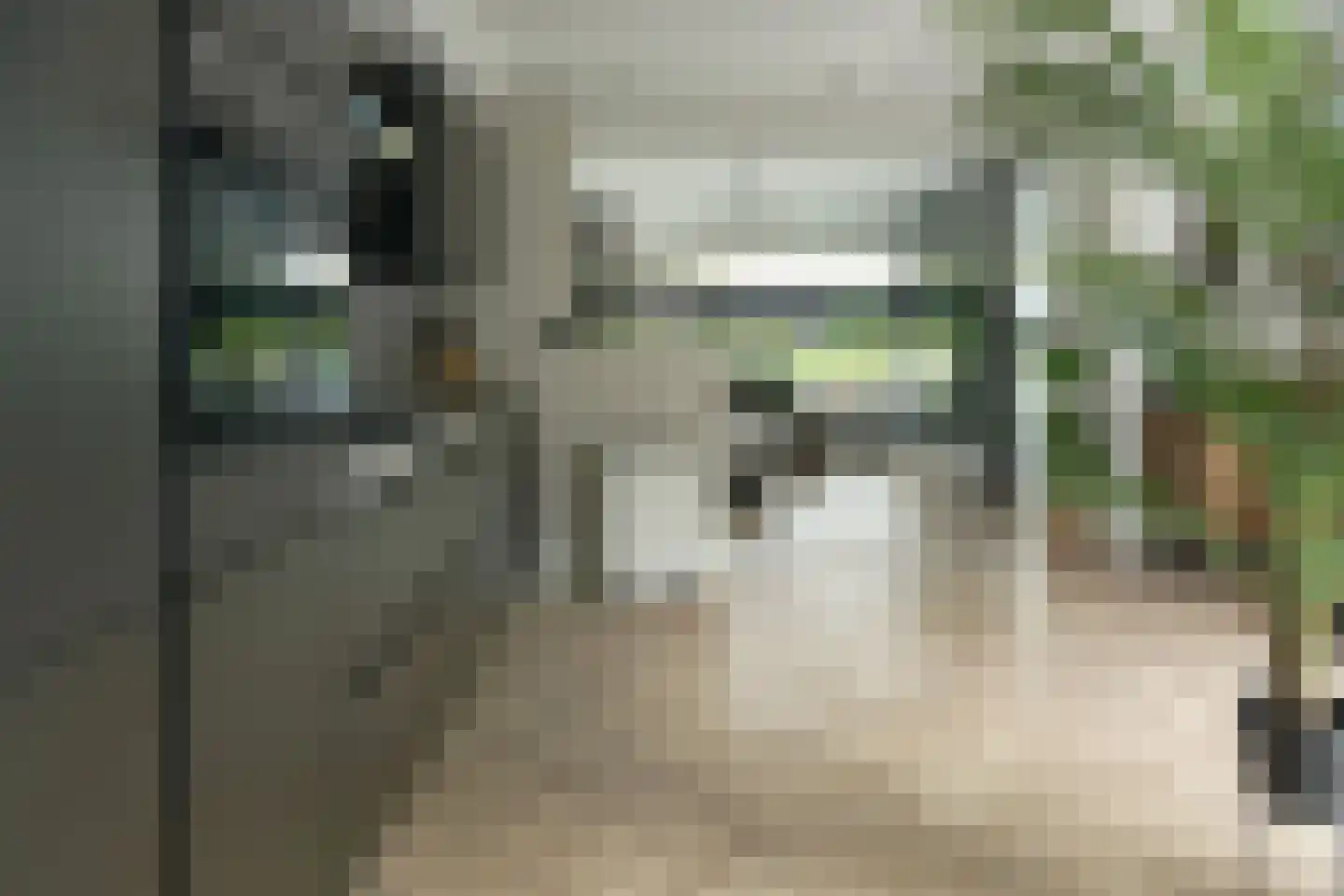 Linde 28 Drachten thumbnail 14