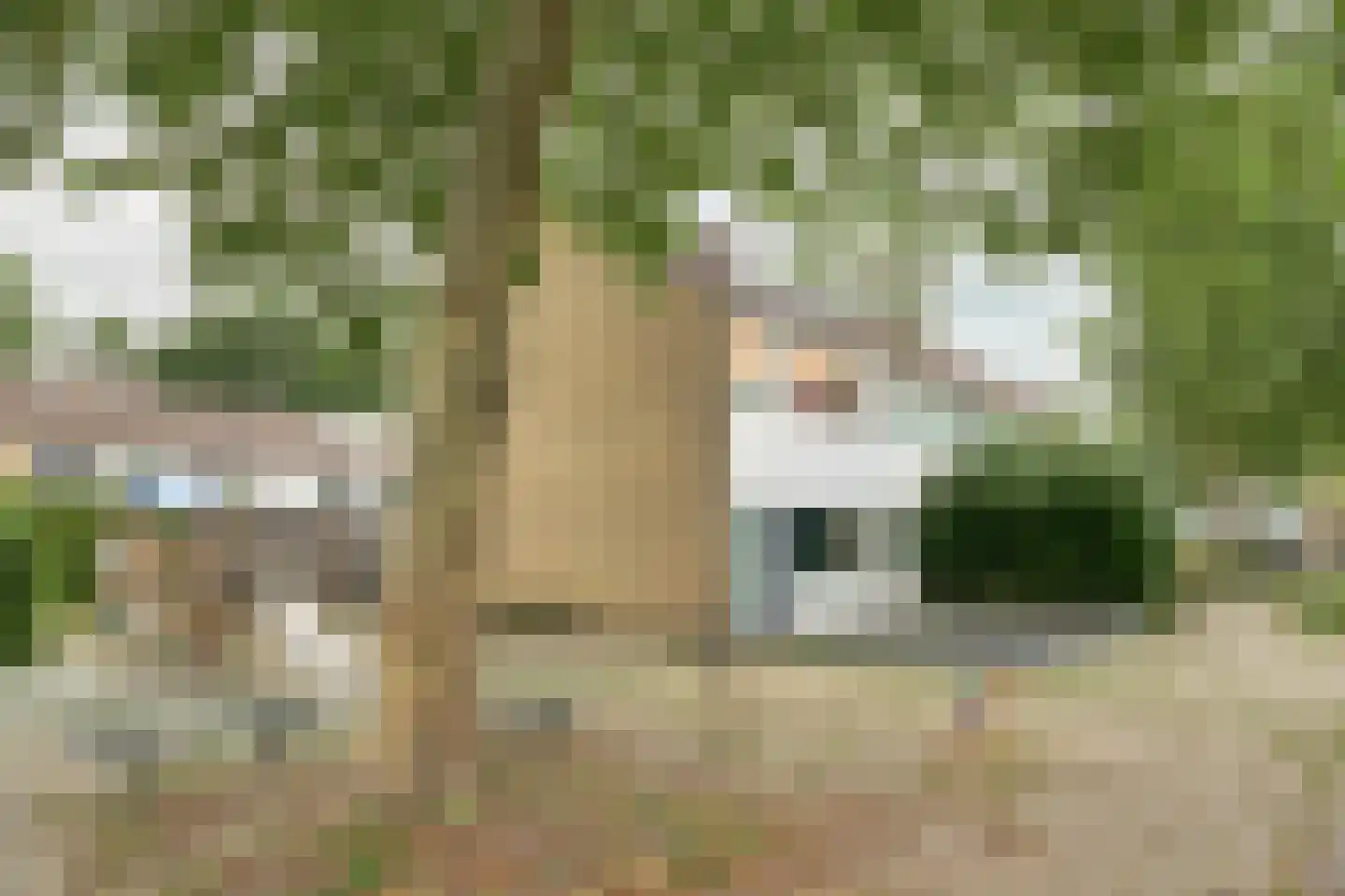 Linde 28 Drachten thumbnail 4