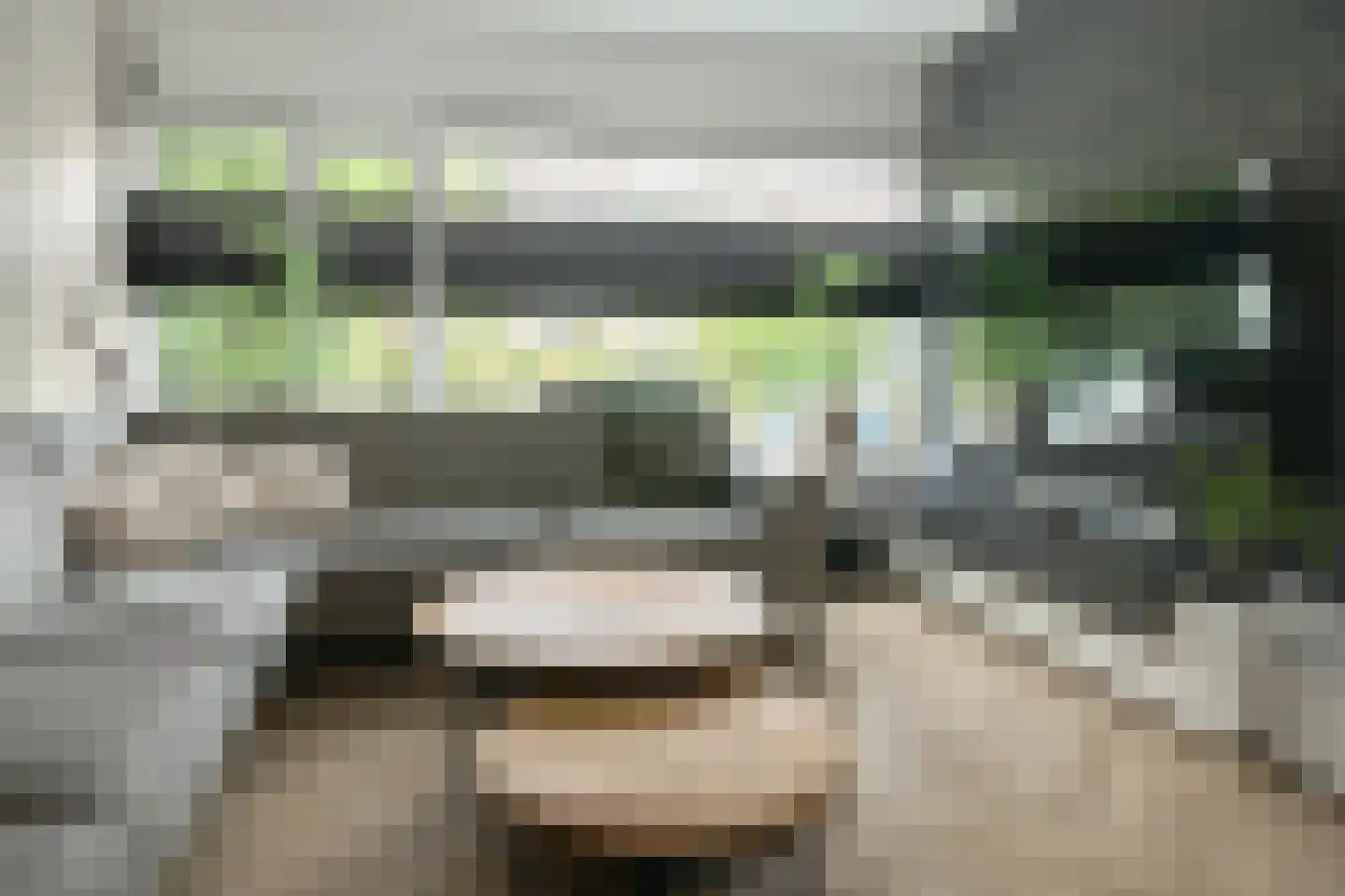 Linde 28 Drachten thumbnail 8