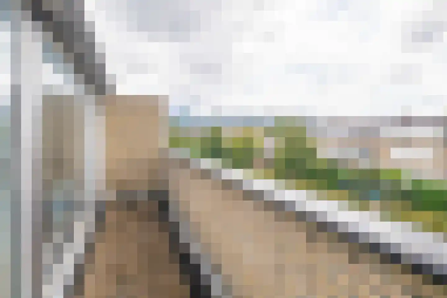 Linde 32 Krimpen aan den IJssel thumbnail 10
