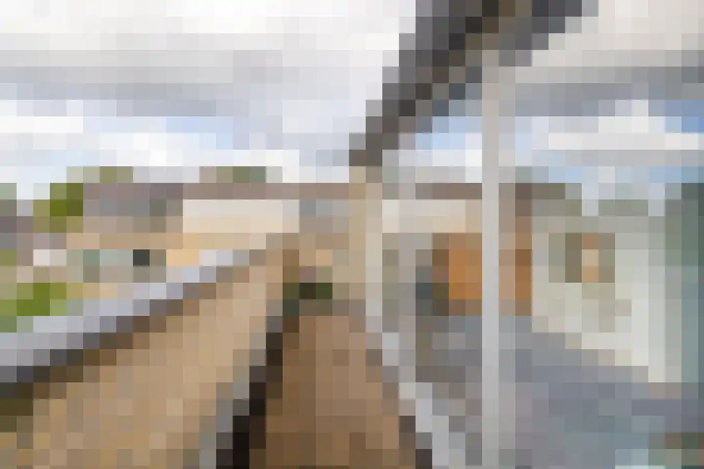 Linde 32 Krimpen aan den IJssel thumbnail 37