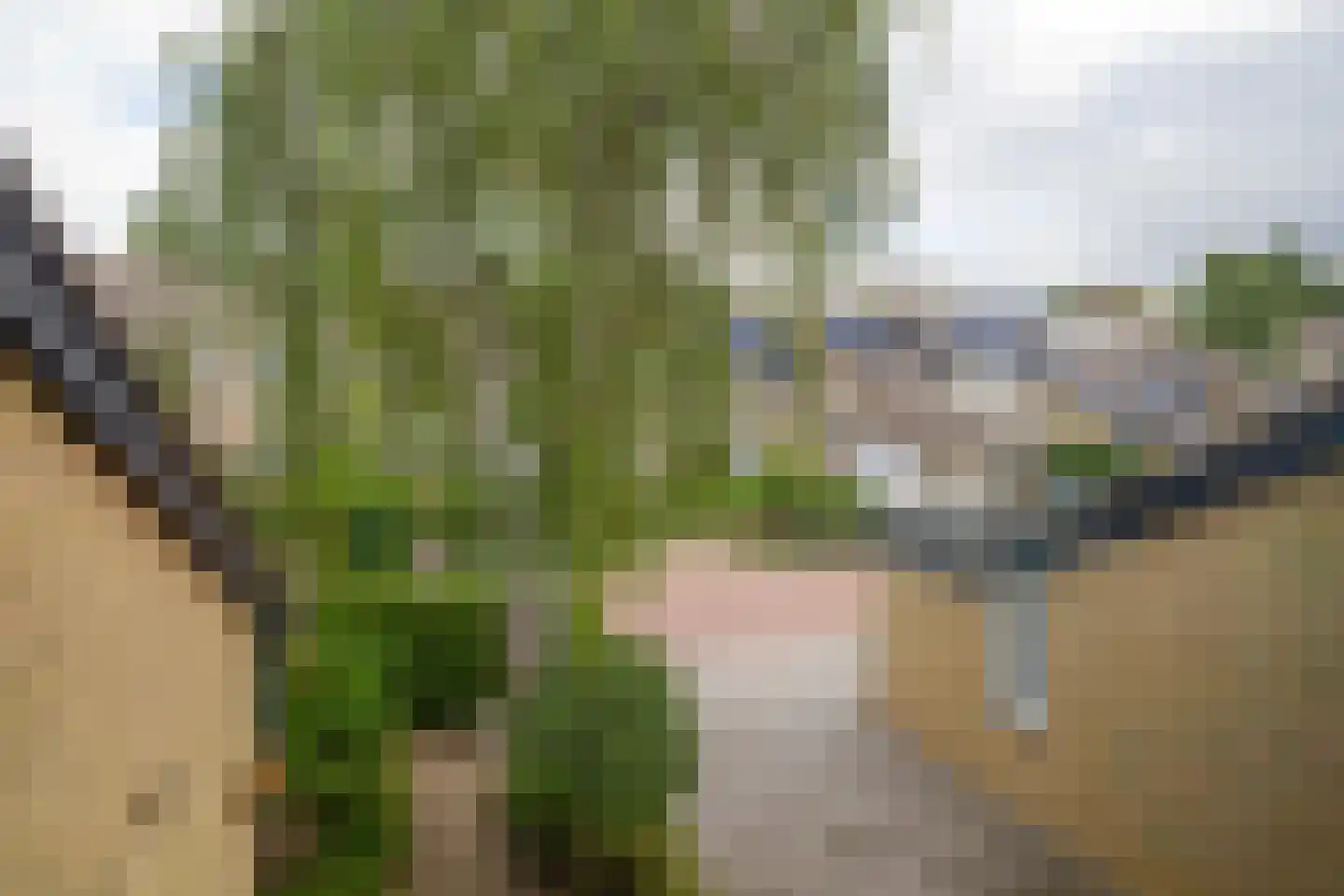 Linde 32 Krimpen aan den IJssel thumbnail 45