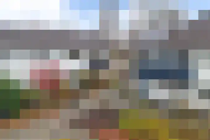 Linde 34 Drachten thumbnail 33