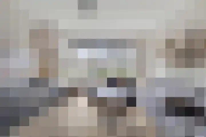 Linde 34 Leek thumbnail 10
