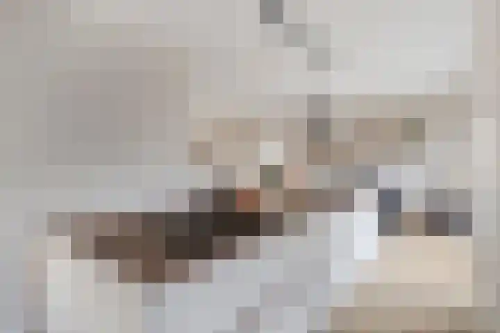 Linde 34 Leek thumbnail 16