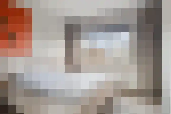 Linde 34 Leek thumbnail 23