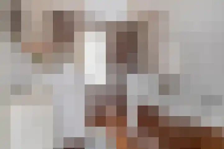 Linde 34 Leek thumbnail 25