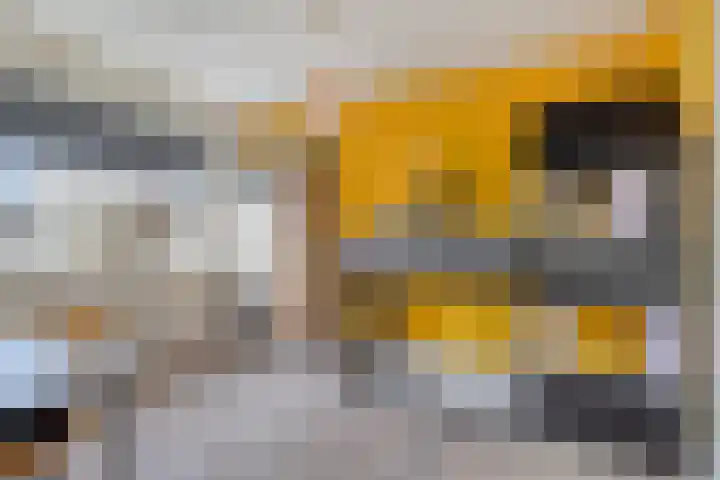 Linde 34 Leek thumbnail 27